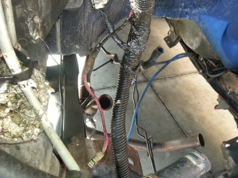 1994 Ford Bronco - Engine bay wiring and hoses are visible in this close-up view, with corrugated tubing and red and blue wires.