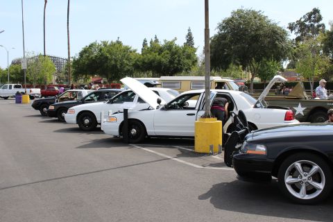 Row of police-style Crown Victoria sedans with hoods up at a car show
