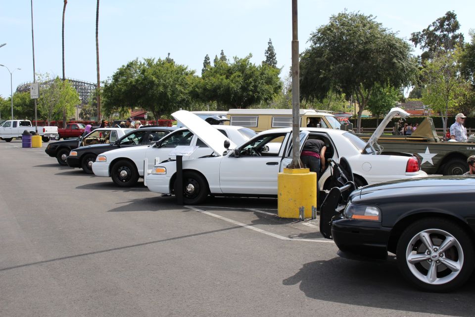 Row of police-style Crown Victoria sedans with hoods up at a car show