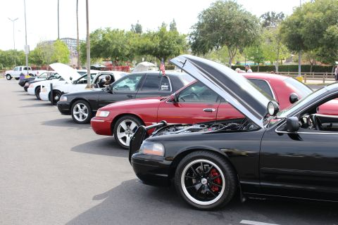 Row of full-size sedans with hoods open at an outdoor car meet, lead car black with red brake calipers