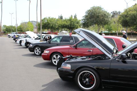 Diagonal row of parked sedans with hoods open including a maroon car and police-style white car