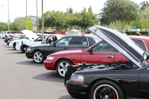 Row of parked full-size sedans with hoods raised, maroon and black cars and a small American flag