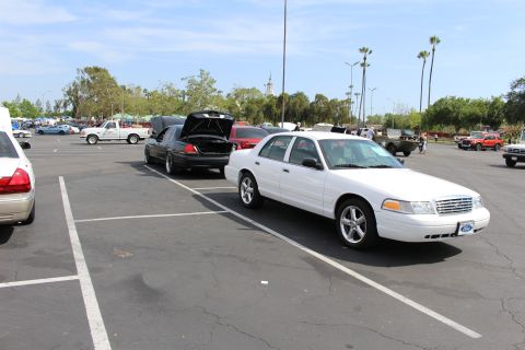 White full-size sedan with Ford-badged wheels parked in lot with palm trees and other cars