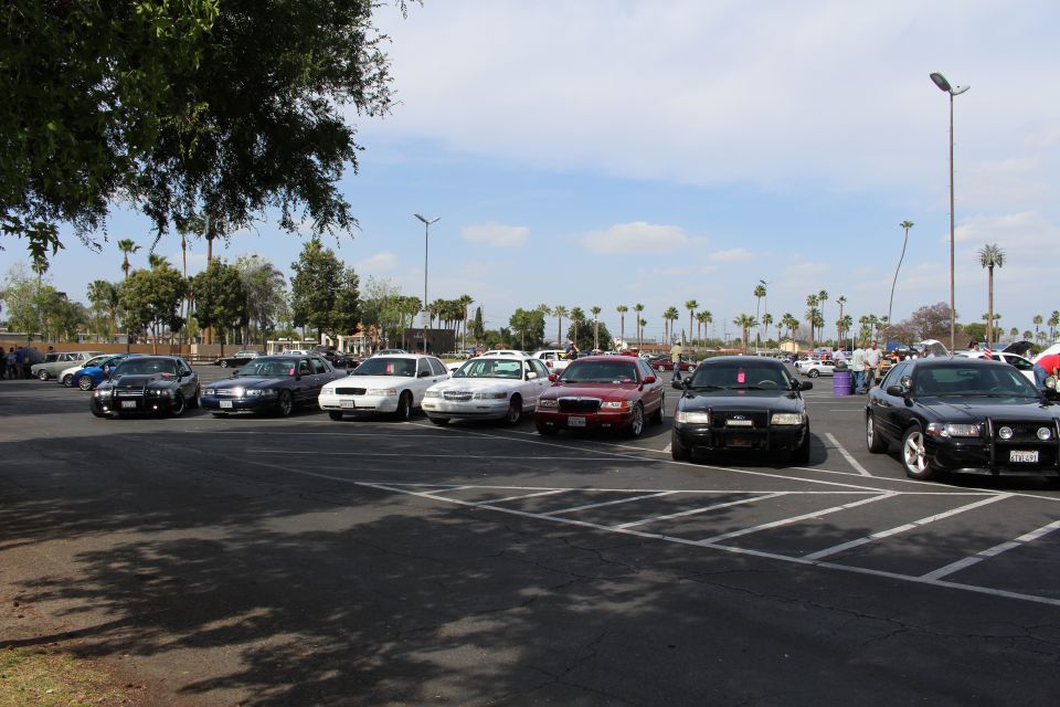 Row of full-size sedans parked in a large lot with palm trees under a blue sky