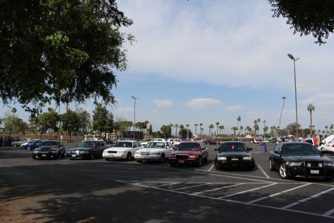Multiple sedans angle-parked in a large lot with distant palms