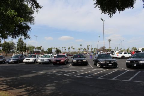 Row of sedans parked under tree shade with more cars in the background