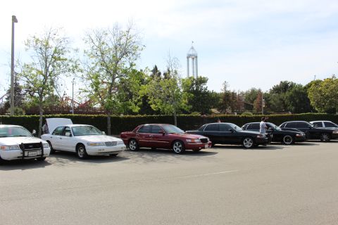 Row of parked sedans including white, maroon and black under bare trees