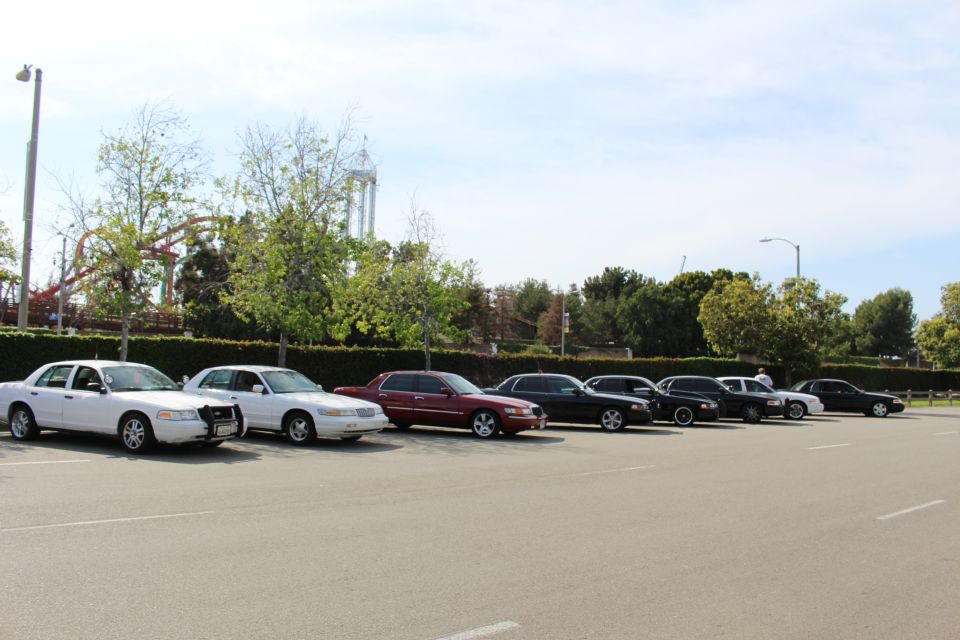 Row of white, maroon and black sedans parked under leafy trees