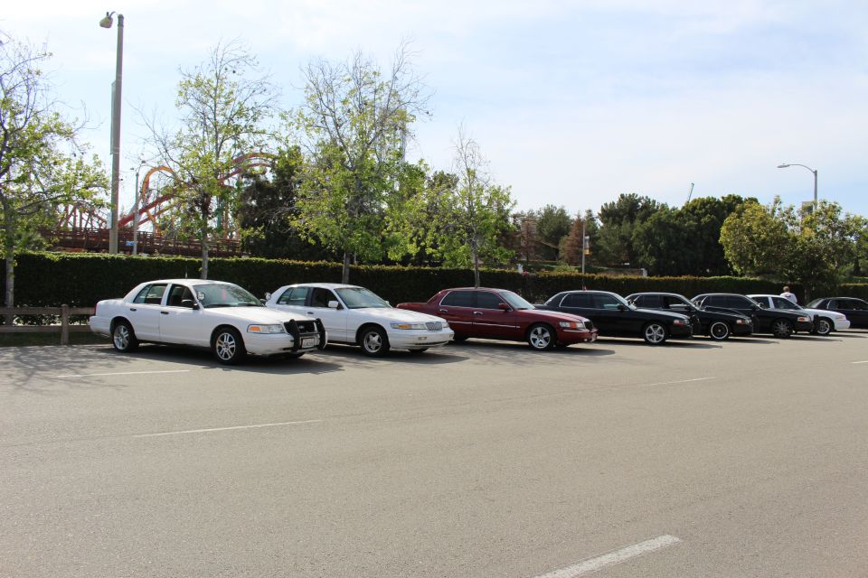 Front-angle view of parked sedans beside a hedge and roller coaster