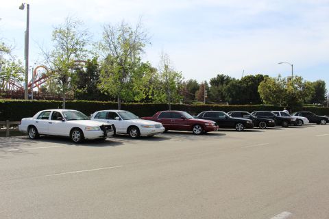 Two white sedans and darker cars parked in a row by a hedge