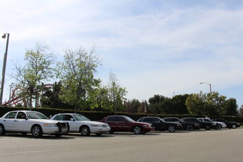 Row of parked sedans under bare trees with a coaster behind the hedge