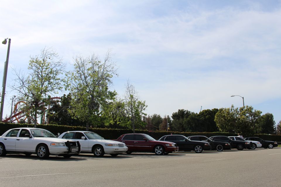 Row of parked sedans under bare trees with a coaster behind the hedge