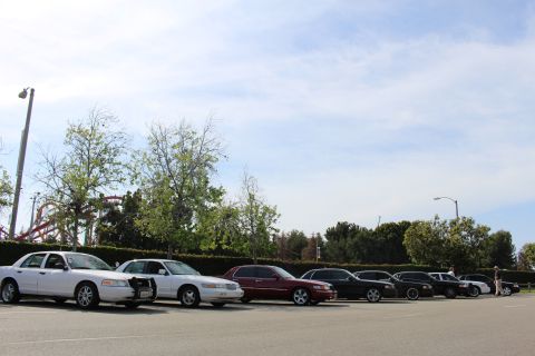Row of parked sedans and a standing person beside a hedge and coaster