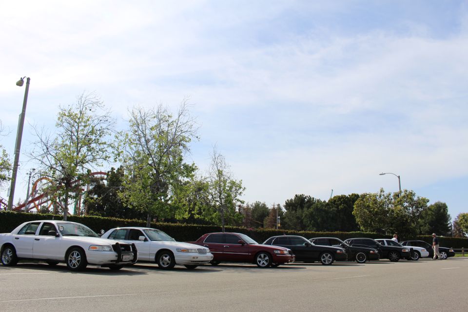 Row of parked sedans and a standing person beside a hedge and coaster
