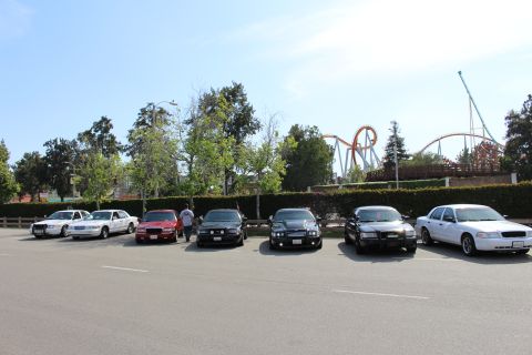 Row of full-size sedans parked nose-out with roller coasters behind