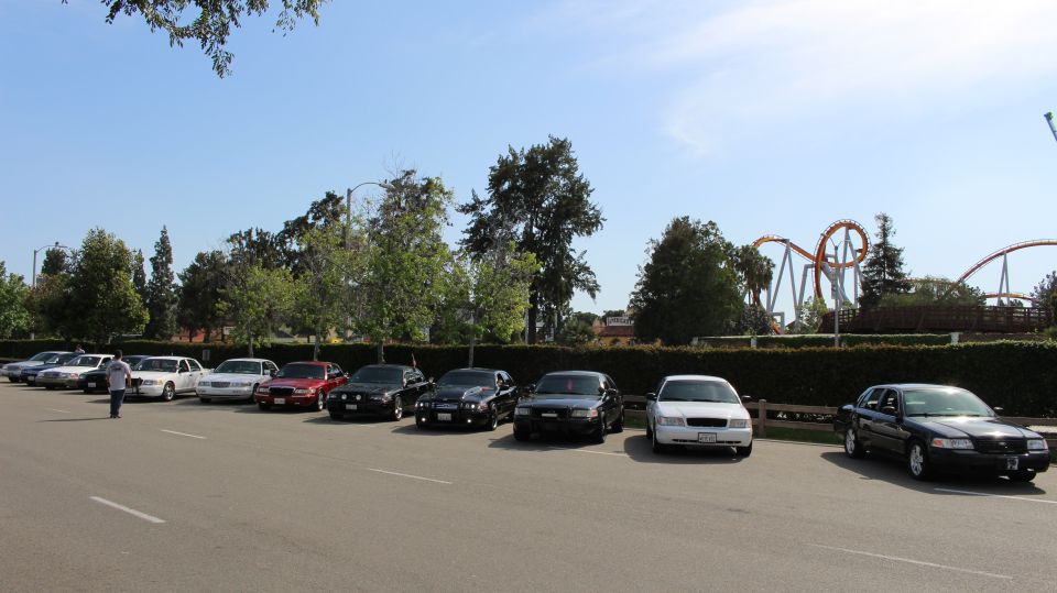 Long row of sedans parked in a lot under a clear blue sky
