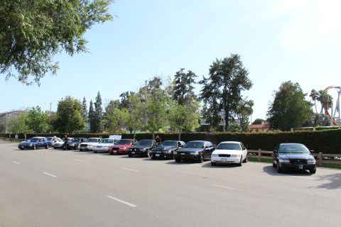 Angled row of mixed sedans parked along a hedge-lined lot