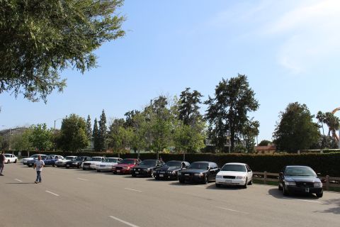 Long line of parked sedans along a tree-lined lot