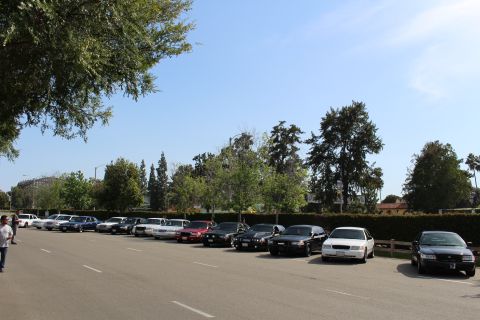 Diagonal row of parked sedans receding along a paved lot