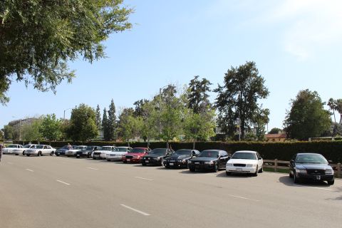 Row of parked cars along a hedge with trees behind