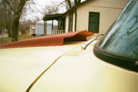 1979 Ford Bronco - A close-up view of a car's hood shows an aftermarket scoop and a windshield wiper.