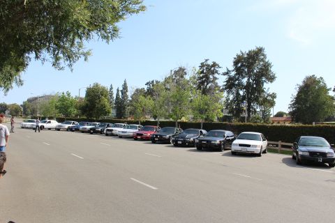 People standing near a long row of parked sedans