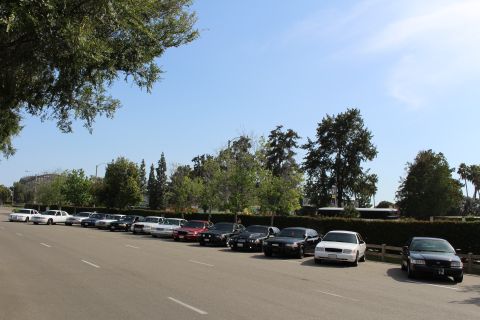 Row of parked sedans receding along a tree-lined lot