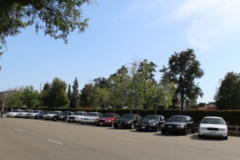 Wide row of parked sedans along a hedge-lined lot