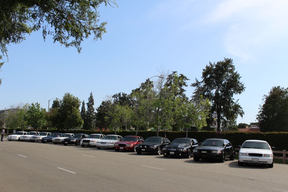 Wide row of parked sedans along a hedge-lined lot
