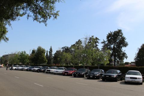 People standing beside a long row of parked sedans