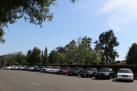 Long diagonal row of parked sedans along an open lot