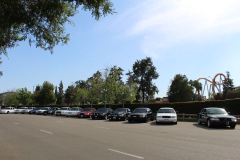 Row of parked sedans along a lot with a roller coaster