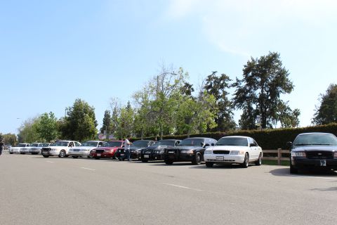 Lineup of cars parked in a lot with people standing among them and trees behind