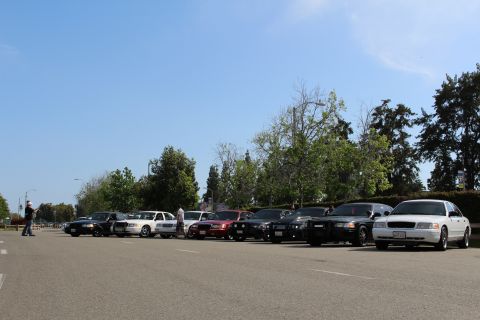 Row of sedans parked across a sunny paved lot with a person walking at left