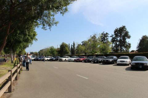 Wide view of many cars parked in a long lot framed by trees and hedges
