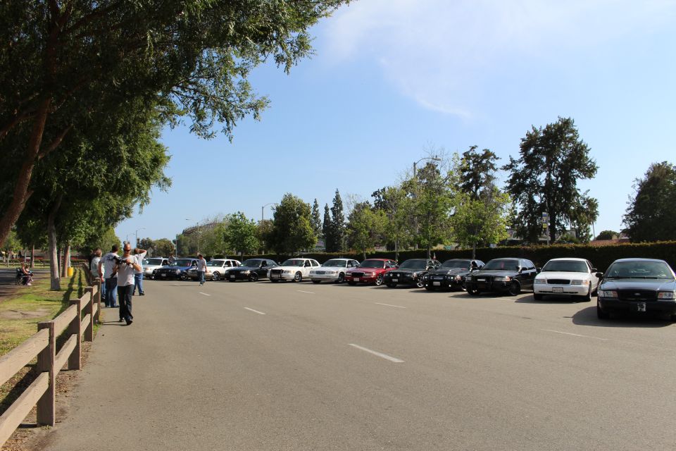 Wide view of many cars parked in a long lot framed by trees and hedges
