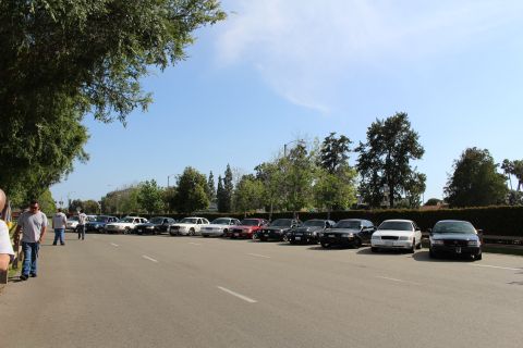 Long row of parked sedans across a paved lot with trees and a person at left