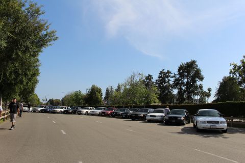 Row of parked sedans along a tree-lined paved lot with a man walking at left