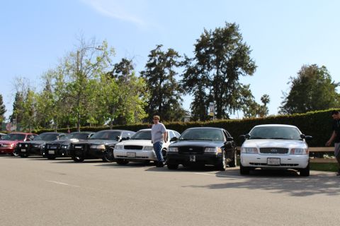 Front view of parked Ford sedans with a man leaning against one and trees behind