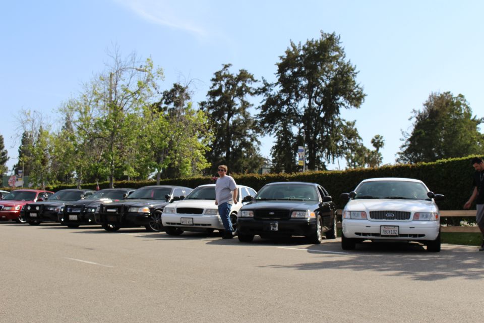 Front view of parked Ford sedans with a man leaning against one and trees behind