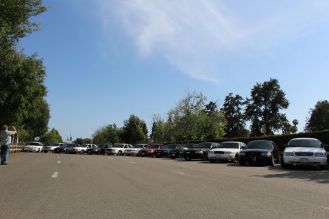 Long row of parked sedans across a wide paved lot with a person at far left