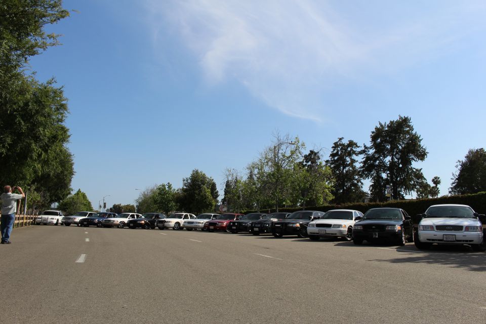 Long row of parked sedans across a wide paved lot with a person at far left