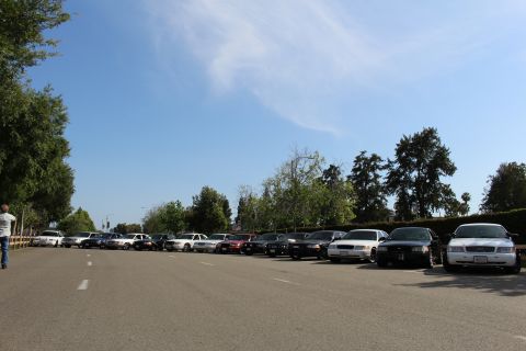 Row of parked sedans across a paved lot with trees and a person at far left