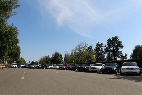 Row of parked sedans along a tree-lined paved lot under a bright blue sky