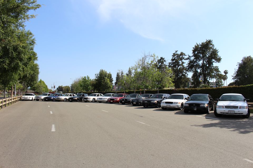 Long row of parked cars across an empty paved lot framed by trees and hedges