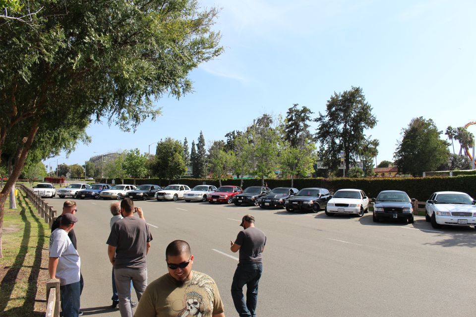 People and parked cars in a lot at a car meet with trees behind