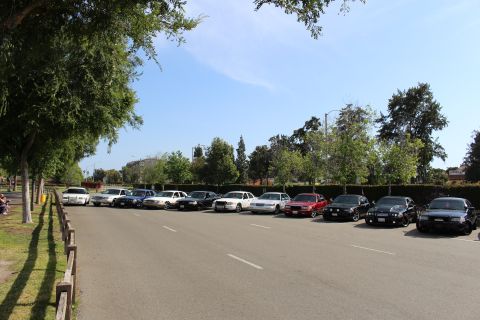 Long row of parked cars along a lot lined with trees