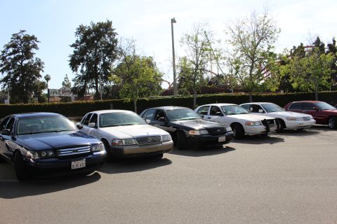 Angled row of dark and light full-size sedans parked along a hedge