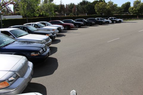 Angled row of full-size sedans along a hedge with a silver car in front