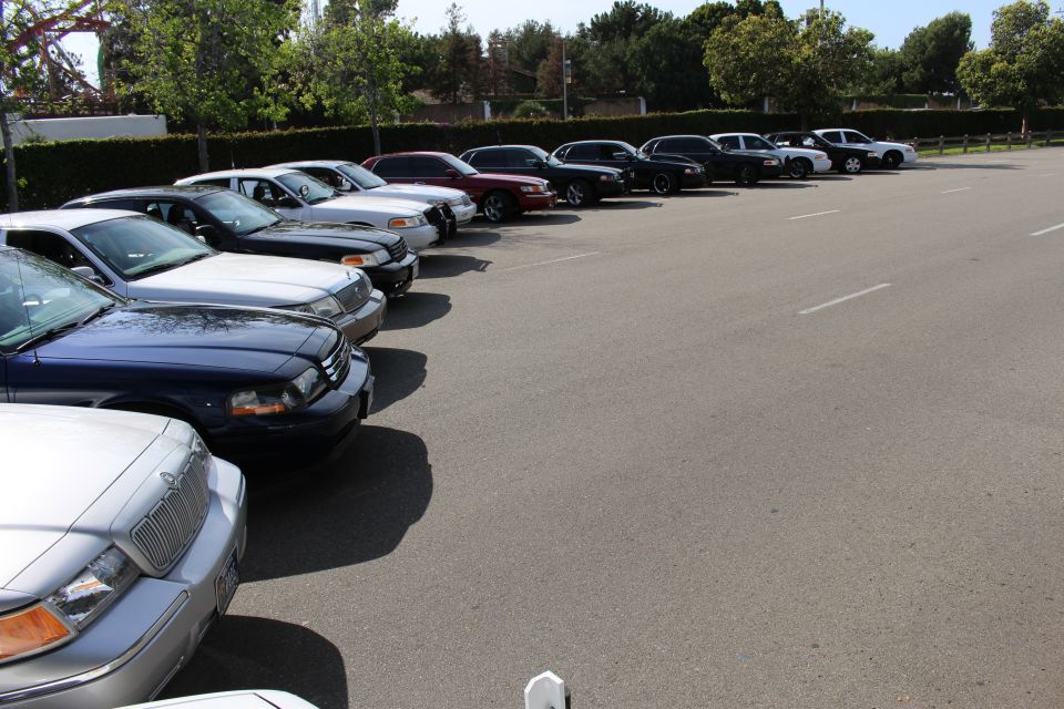 Angled row of full-size sedans along a hedge with a silver car in front